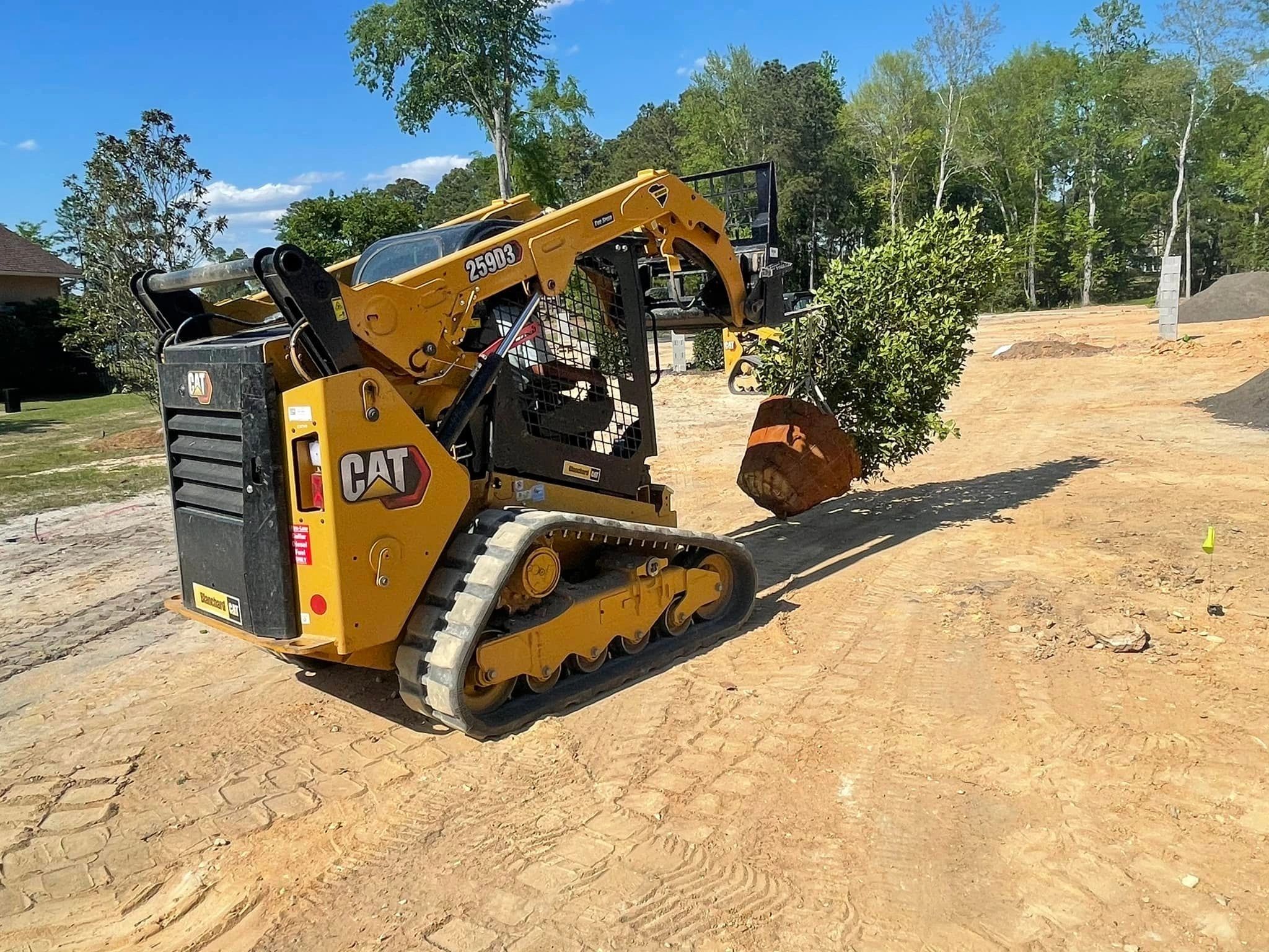 CAT 259D3 skid steer tree removal